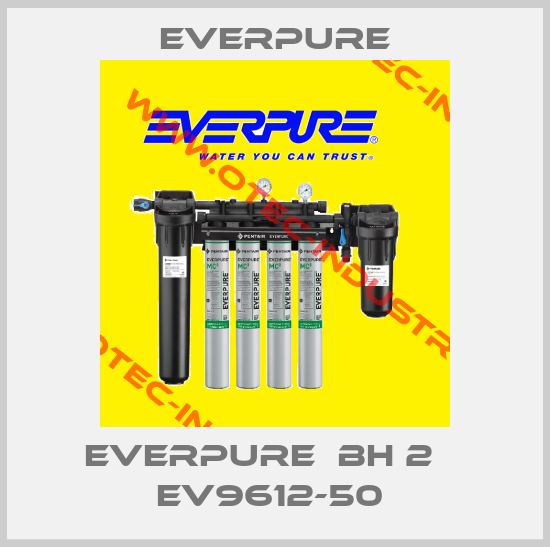 EVERPURE  BH 2    EV9612-50 -big