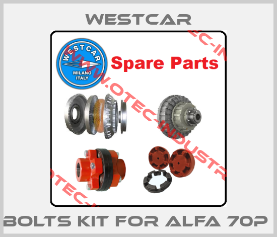 Bolts kit for Alfa 70P -big