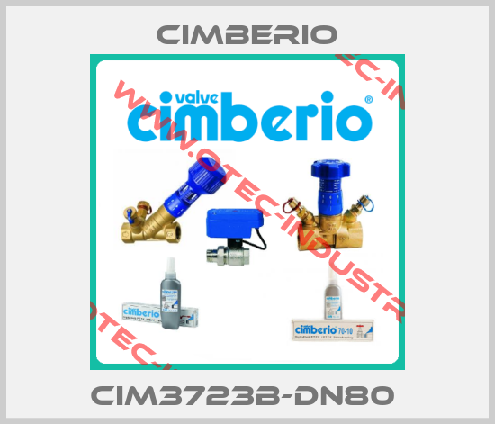 Cim3723B-DN80 -big