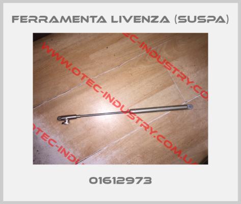 01612973, Ferramenta Livenza (Suspa)