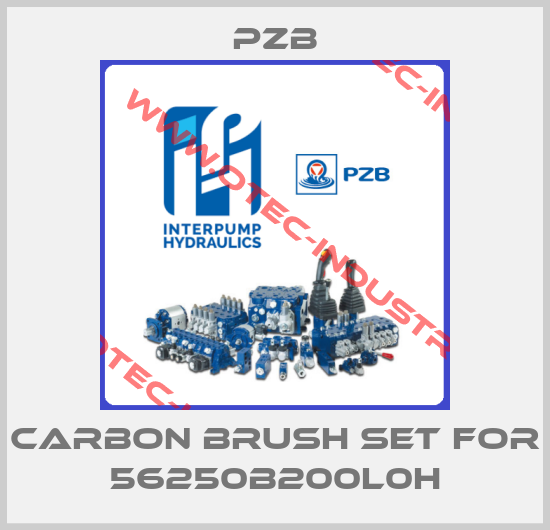 Carbon brush set for 56250B200L0H-big
