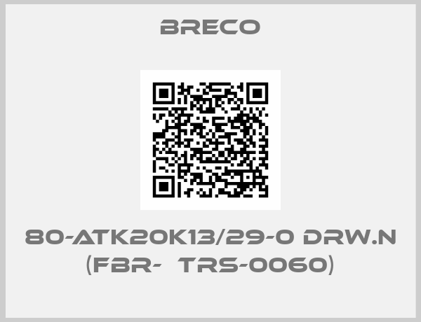 80-ATK20K13/29-0 drw.n (FBR-  trs-0060)-big