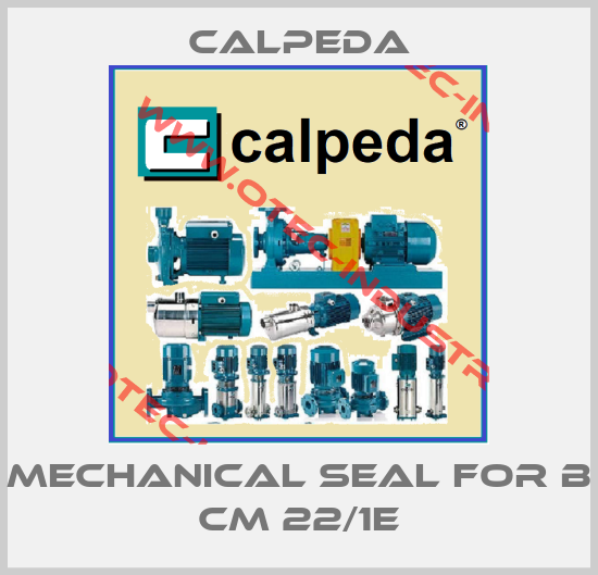 mechanical seal for B CM 22/1E-big
