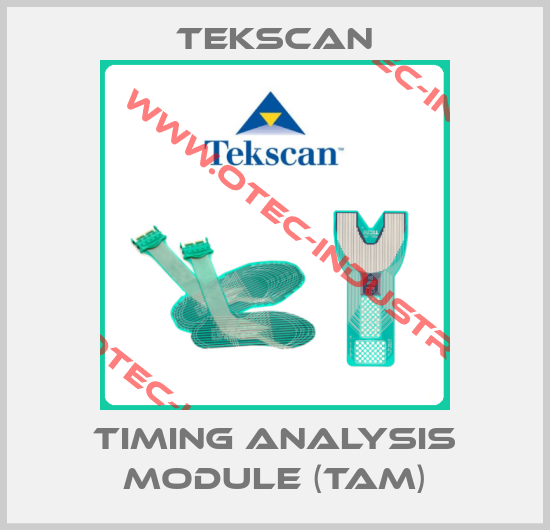 Timing Analysis Module (TAM)-big