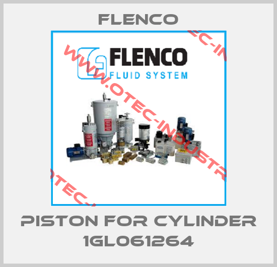 Piston for cylinder 1GL061264-big