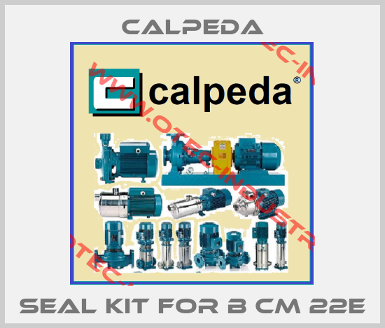 seal kit for B CM 22E-big