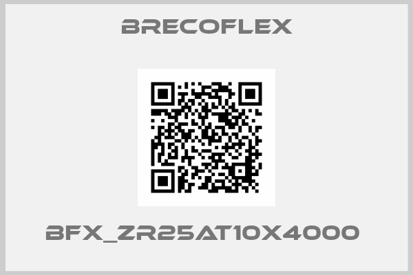 Bfx_ZR25AT10x4000 -big