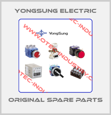 YongSung Electric