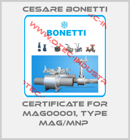 Certificate for MAG00001, type MAG/MNP -big