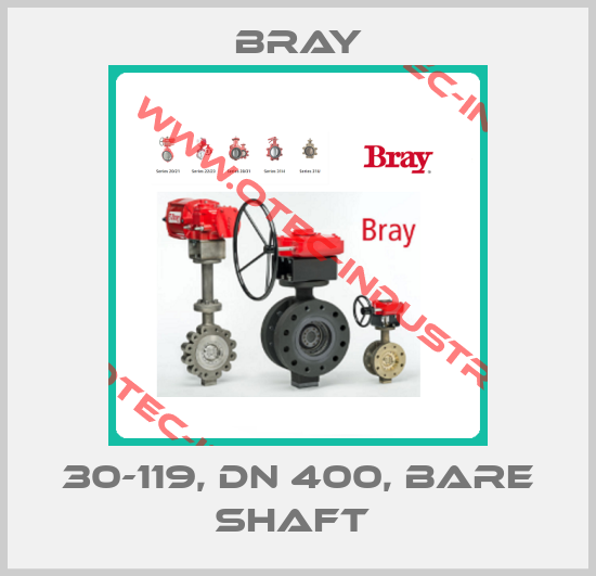 30-119, DN 400, bare shaft -big