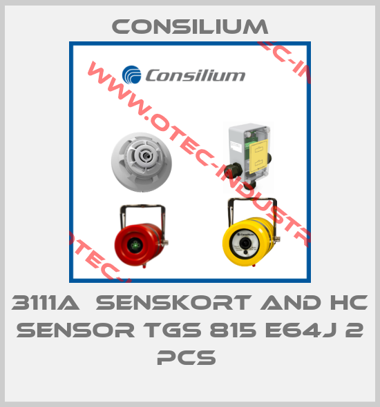 3111A  SENSKORT AND HC SENSOR TGS 815 E64J 2 PCS -big