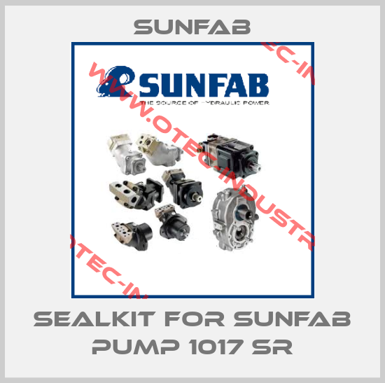 Sealkit for Sunfab pump 1017 SR-big