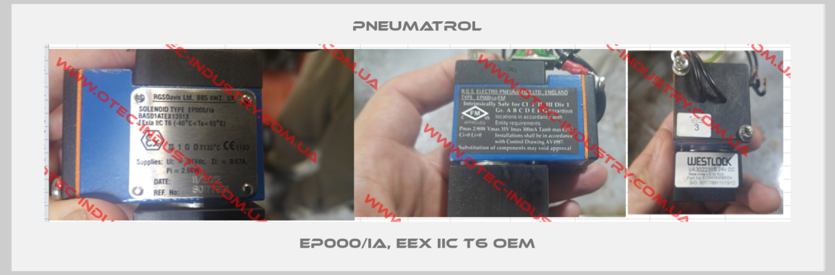 EP000/ia, EEx IIC T6 OEM-big