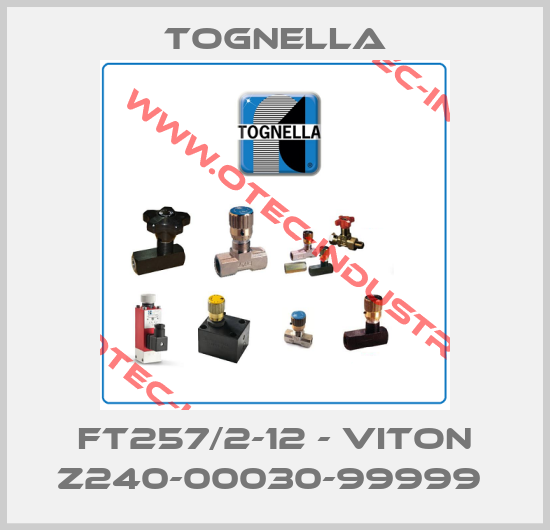 FT257/2-12 - VITON Z240-00030-99999 -big