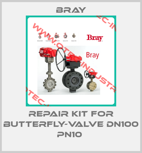 Repair kit for butterfly-valve DN100 PN10 -big