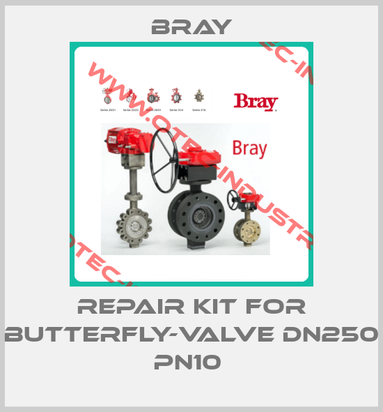 Repair kit for butterfly-valve DN250 PN10 -big