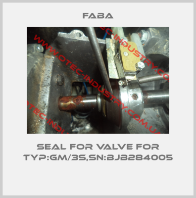 Seal for valve for Typ:GM/3S,SN:BJB284005 -big