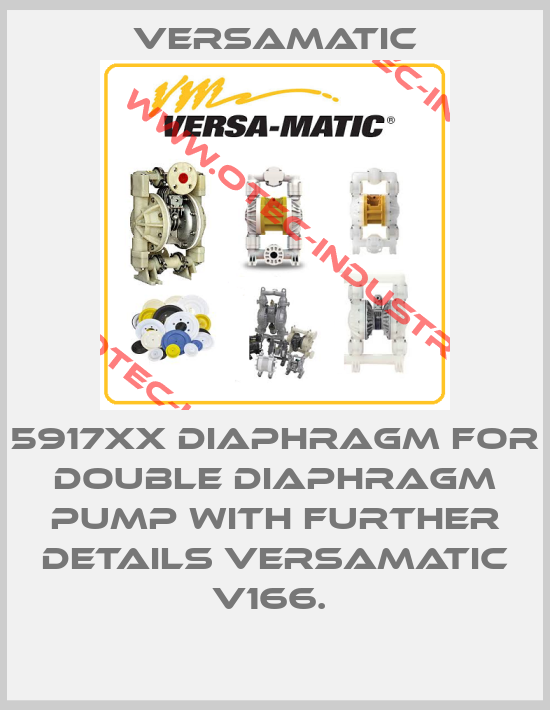 5917XX DIAPHRAGM FOR DOUBLE DIAPHRAGM PUMP WITH FURTHER DETAILS VERSAMATIC V166. -big