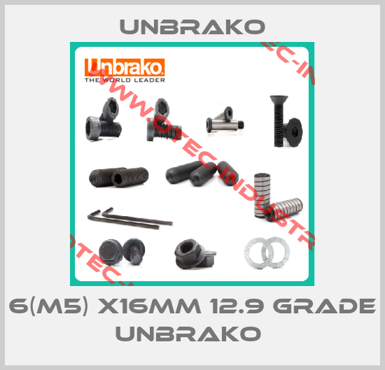 6(M5) X16MM 12.9 GRADE UNBRAKO -big