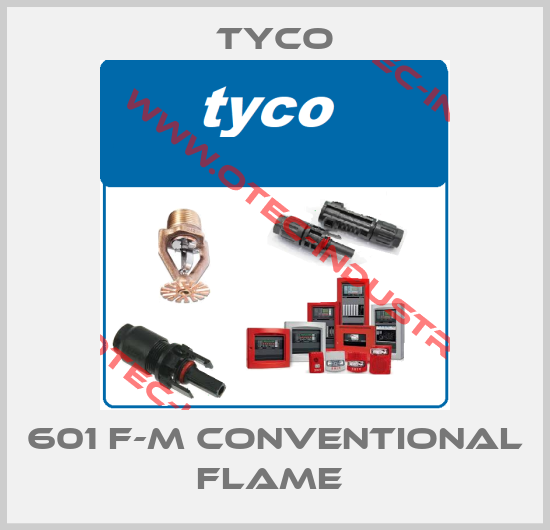 601 F-M CONVENTIONAL FLAME -big