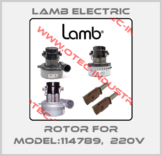Rotor for Model:114789,  220V -big