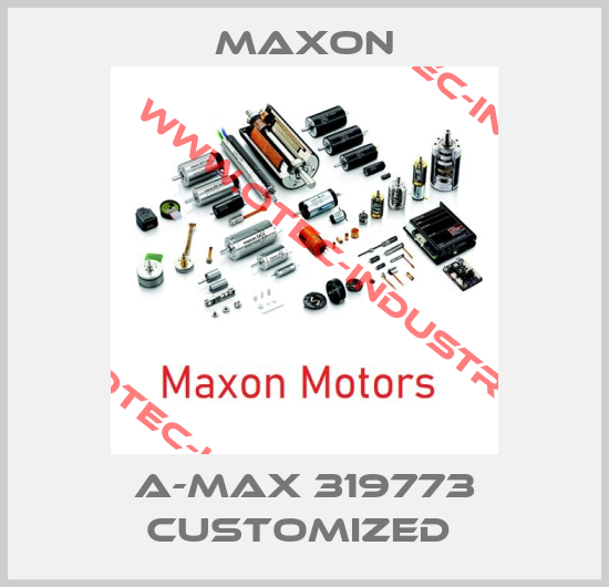 A-max 319773 customized -big