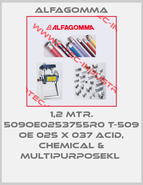 1,2 MTR. 509OE0253755R0 T-509 OE 025 X 037 ACID, CHEMICAL & MULTIPURPOSEKL -big