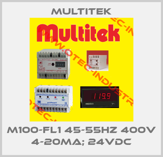 M100-FL1 45-55Hz 400V 4-20mA; 24VDC-big