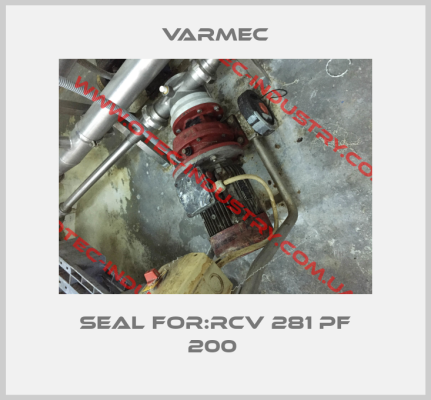Seal For:RCV 281 PF 200 -big