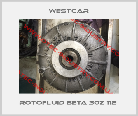 Rotofluid Beta 30Z 112 -big