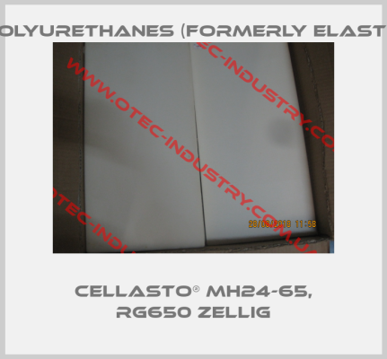 CELLASTO® MH24-65, RG650 ZELLIG-big