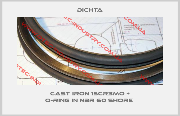 cast iron 15CR3MO + O-Ring in NBR 60 Shore -big