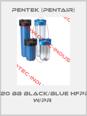 #20 BB Black/Blue HFPP w/PR -big