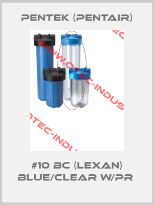 #10 BC (Lexan) Blue/Clear w/PR -big