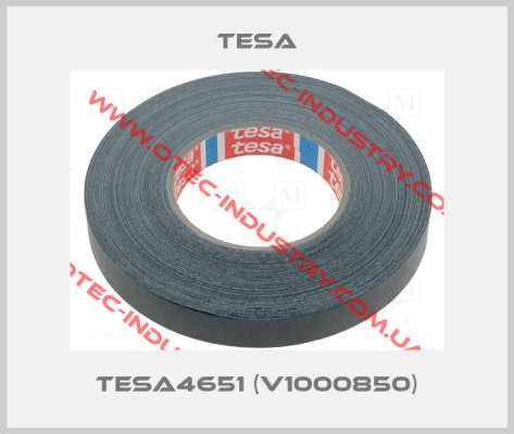 TESA4651 (V1000850)-big