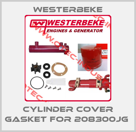 Cylinder cover gasket for 208300JG -big