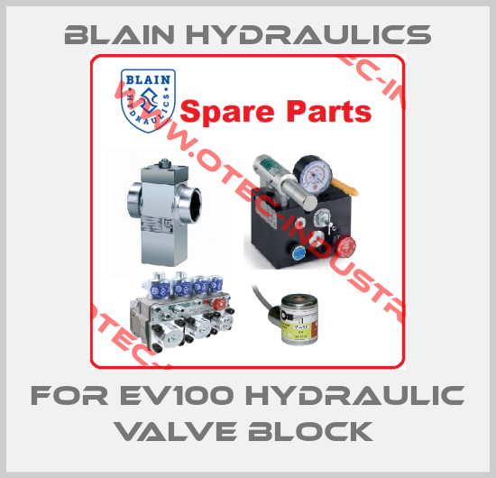 for EV100 Hydraulic Valve Block -big