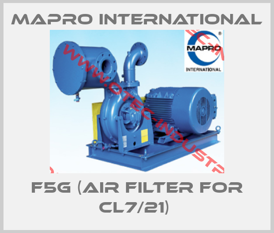 F5G (air filter for CL7/21) -big