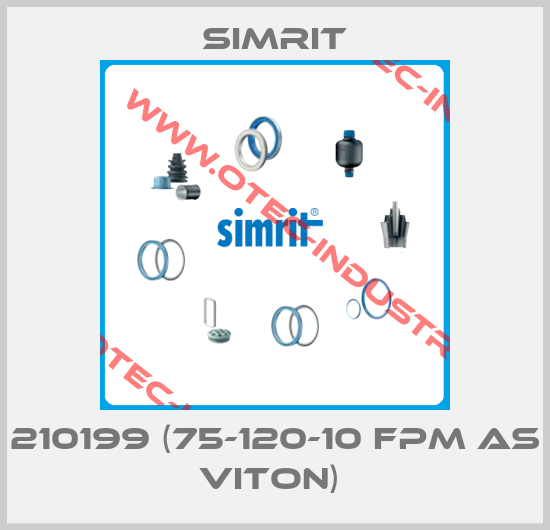 210199 (75-120-10 FPM AS Viton) -big