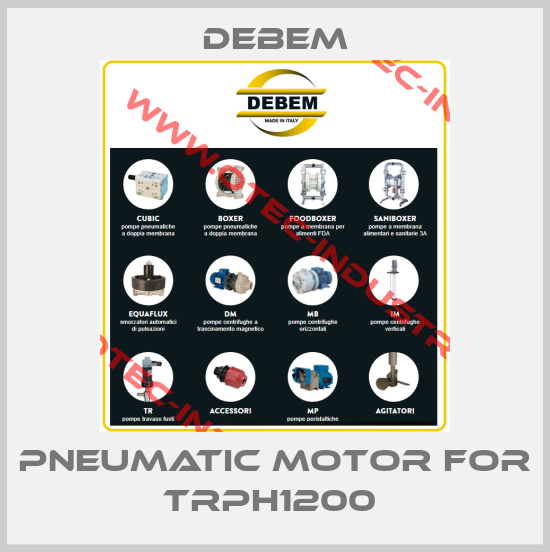 Pneumatic motor for TRPH1200 -big