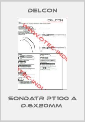 SondaTR PT100 A D.6X20mm -big