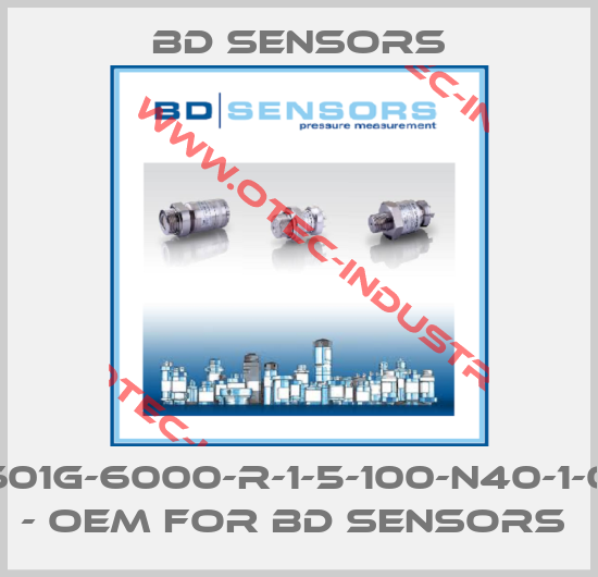 18.601G-6000-R-1-5-100-N40-1-000 - OEM for Bd Sensors -big