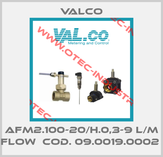 AFM2.100-20/H.0,3-9 L/M FLOW  COD. 09.0019.0002 -big