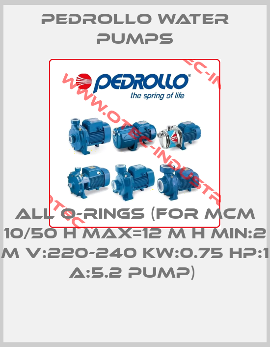 ALL O-RINGS (FOR MCM 10/50 H MAX=12 M H MIN:2 M V:220-240 KW:0.75 HP:1 A:5.2 PUMP) -big