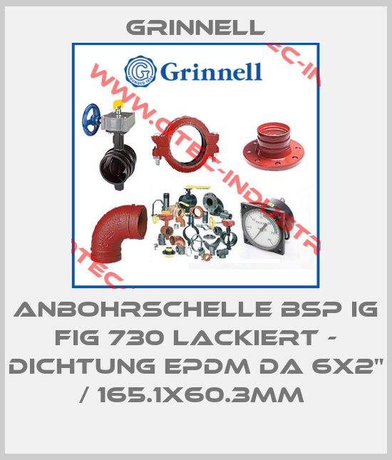 ANBOHRSCHELLE BSP IG FIG 730 LACKIERT - DICHTUNG EPDM DA 6X2" / 165.1X60.3MM -big