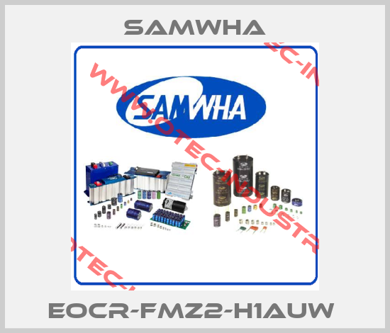  EOCR-FMZ2-H1AUW -big