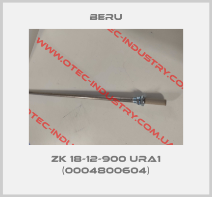 ZK 18-12-900 URA1 (0004800604)-big