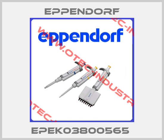  EPEK03800565 -big
