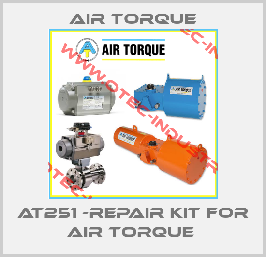 AT251 -REPAIR KIT FOR AIR TORQUE -big