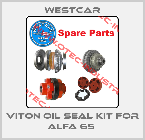Viton oil seal kit for Alfa 65 -big